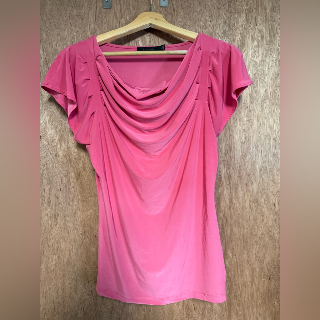 The Limited Pink Top